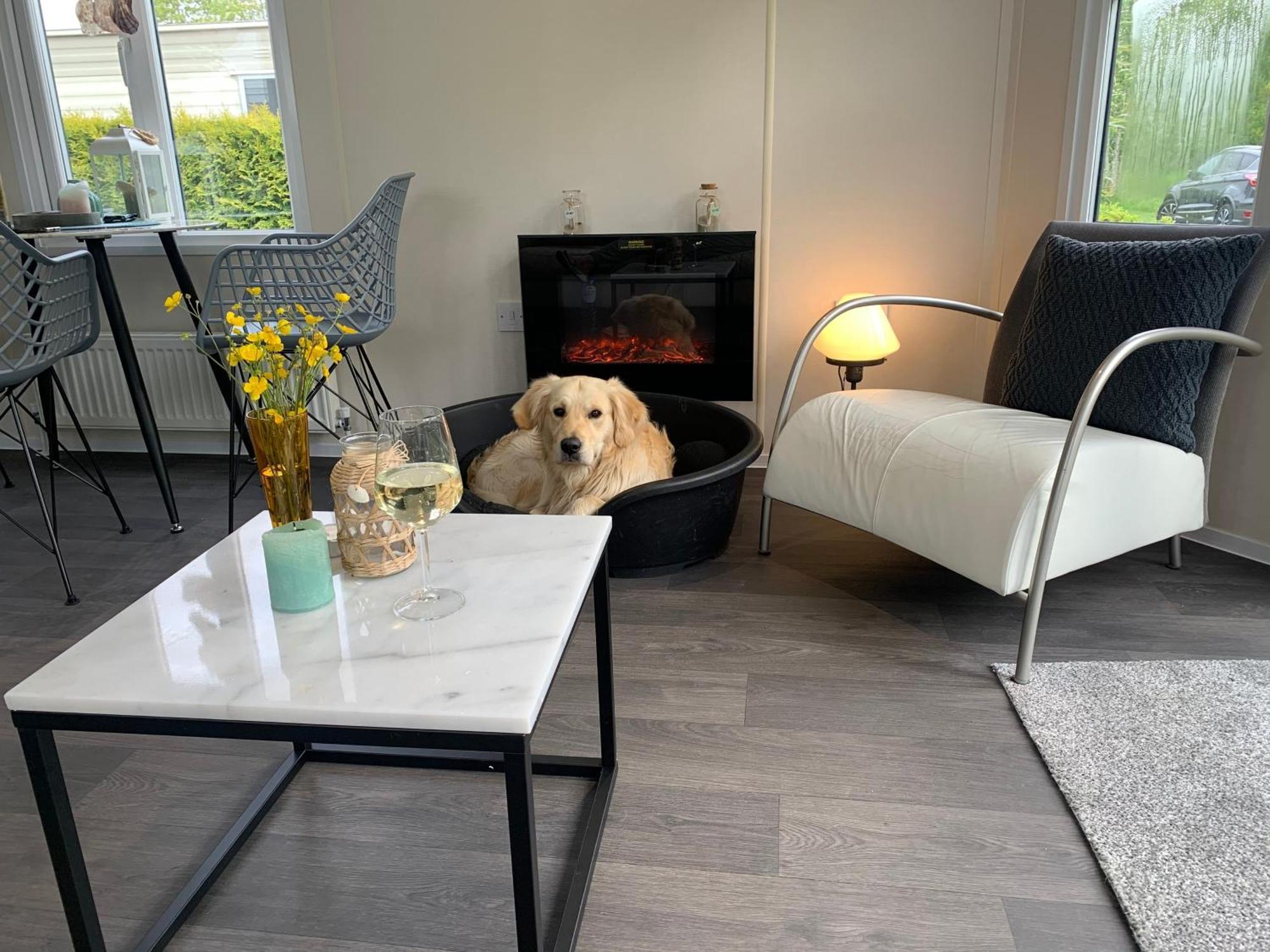 Natur Pur, O4 Neues Ferienhaus Natureingebunden, Familien- Und Hundefreundlich Eingezaeunt 卡兰茨奥赫 外观 照片